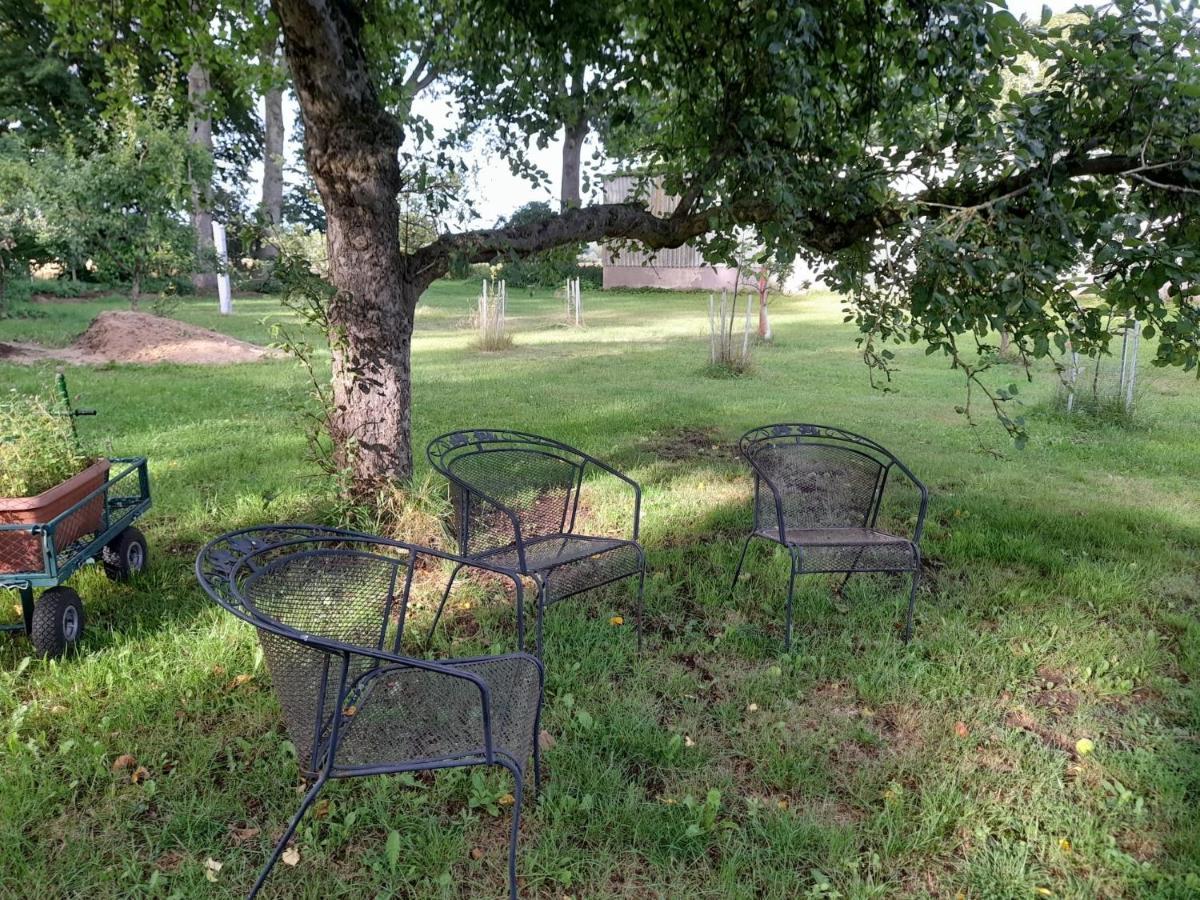 Ehndorf Haus Wald Und Wiese Wohnung Wald מראה חיצוני תמונה